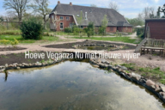 Nu met nieuwe vijver