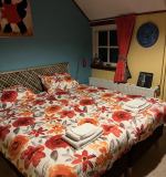 Kamer 2 Latijns-Amerika