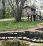 Nieuwe bewoners: twee eendjes 